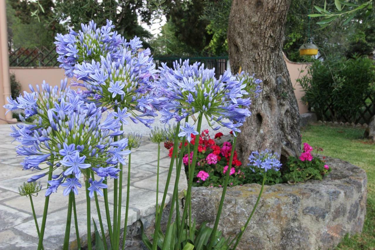 Stone Rose Villa Agios Ioannis  Экстерьер фото